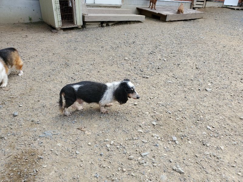 f:id:roukenhome-ann:20190917063653j:plain