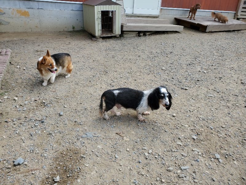 f:id:roukenhome-ann:20190917063659j:plain