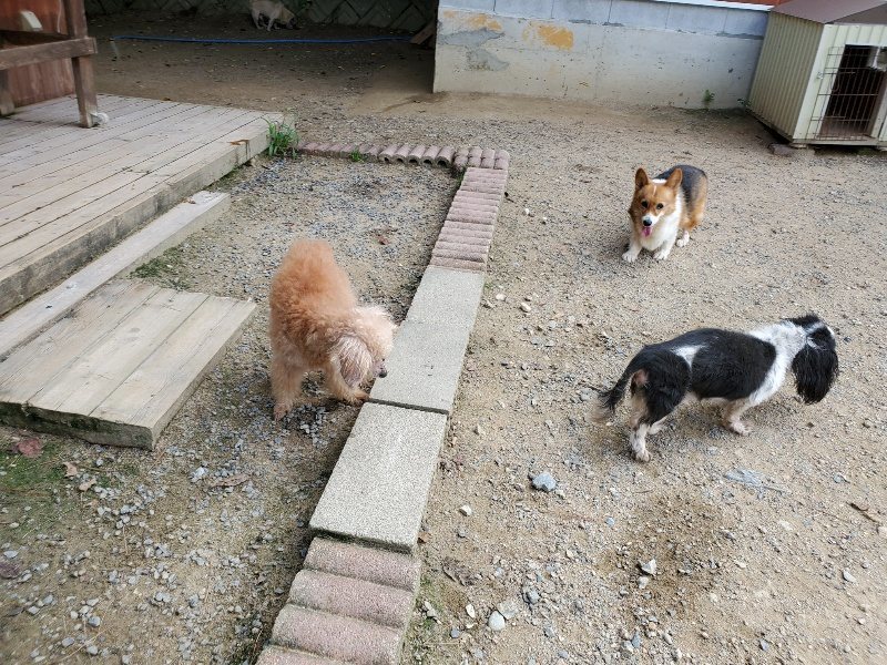 f:id:roukenhome-ann:20190917063721j:plain