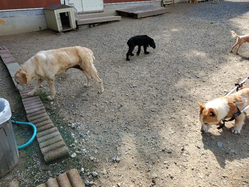 f:id:roukenhome-ann:20190917064212j:plain