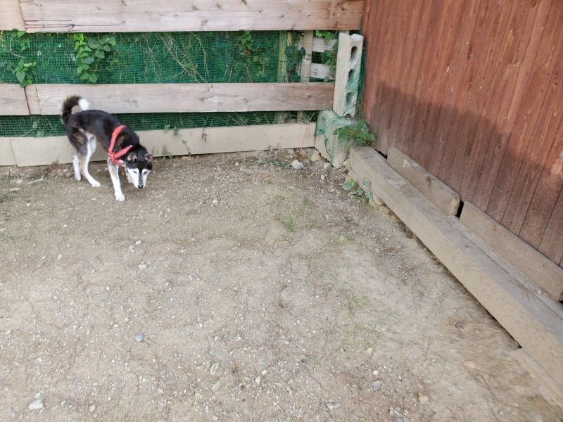 f:id:roukenhome-ann:20190917064228j:plain