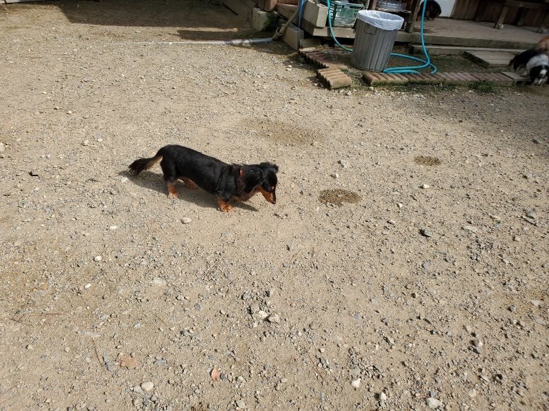 f:id:roukenhome-ann:20190917064255j:plain