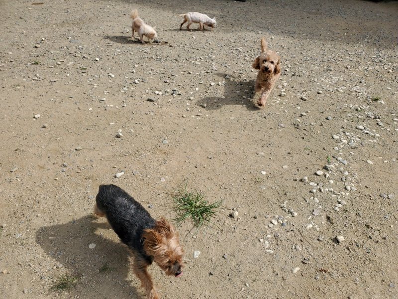 f:id:roukenhome-ann:20190917064306j:plain