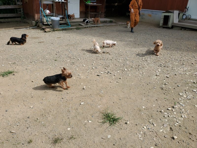 f:id:roukenhome-ann:20190917064316j:plain