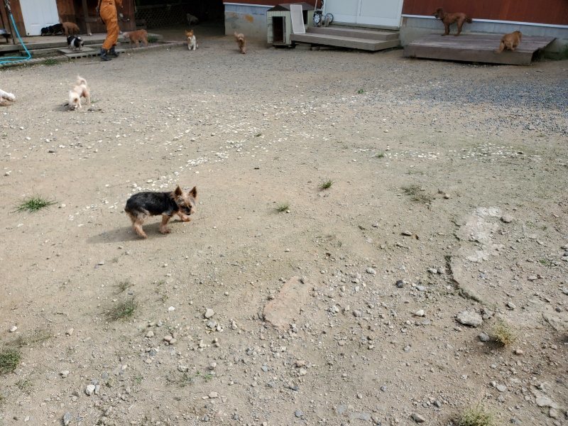 f:id:roukenhome-ann:20190917064322j:plain