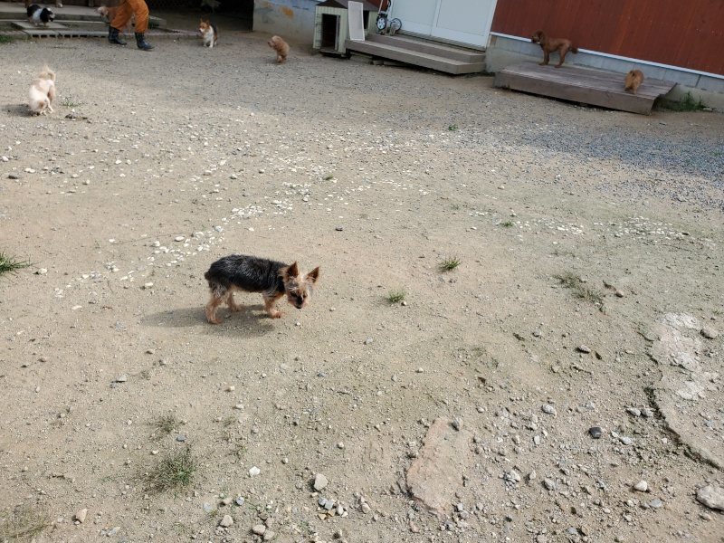 f:id:roukenhome-ann:20190917064328j:plain
