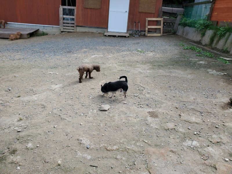 f:id:roukenhome-ann:20190917064334j:plain
