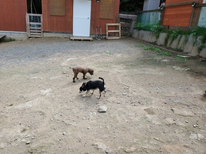 f:id:roukenhome-ann:20190917064340j:plain