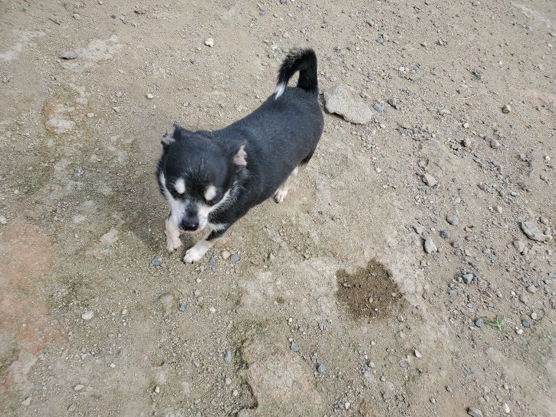 f:id:roukenhome-ann:20190917064345j:plain