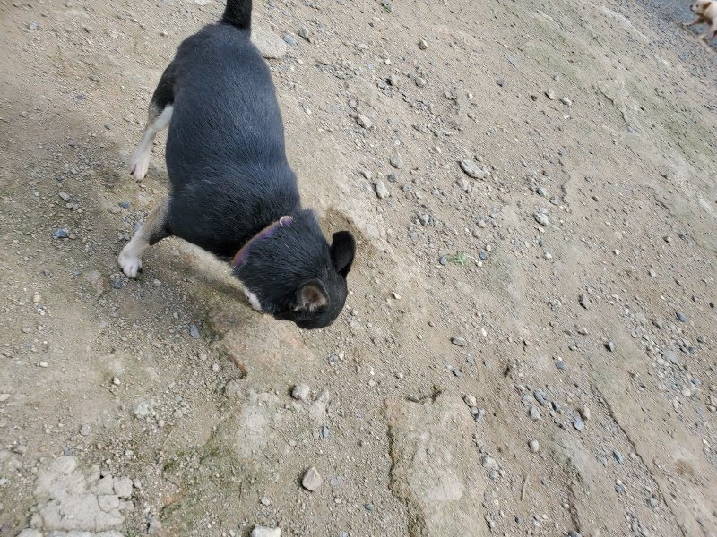 f:id:roukenhome-ann:20190917064359j:plain