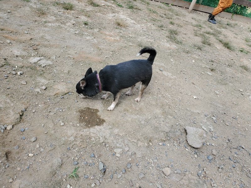 f:id:roukenhome-ann:20190917064405j:plain