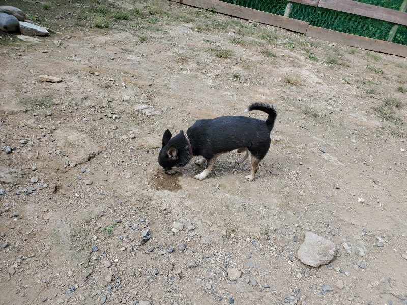 f:id:roukenhome-ann:20190917064410j:plain