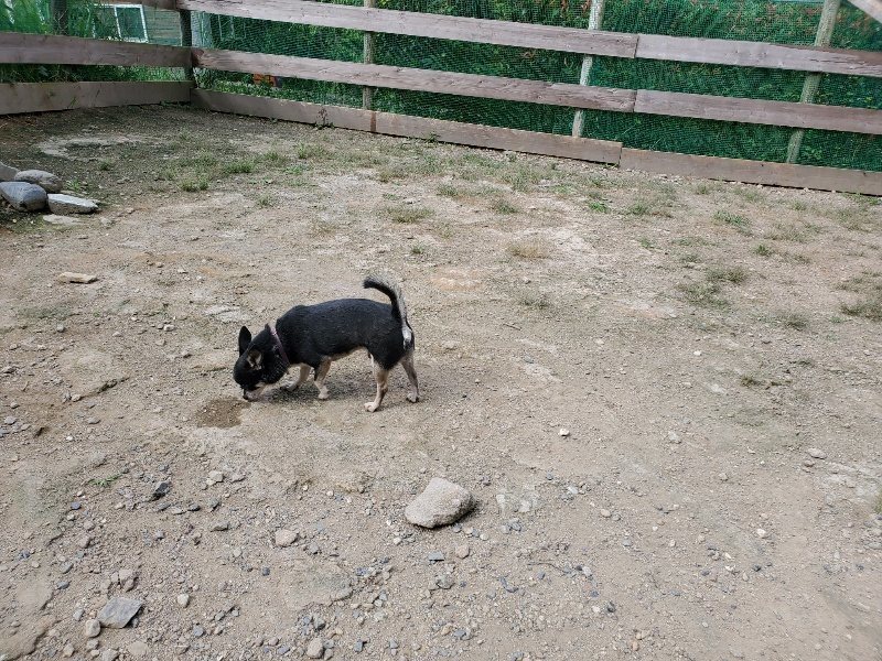 f:id:roukenhome-ann:20190917064416j:plain