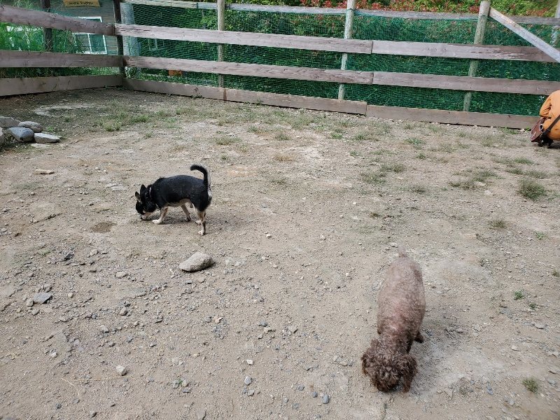 f:id:roukenhome-ann:20190917064442j:plain