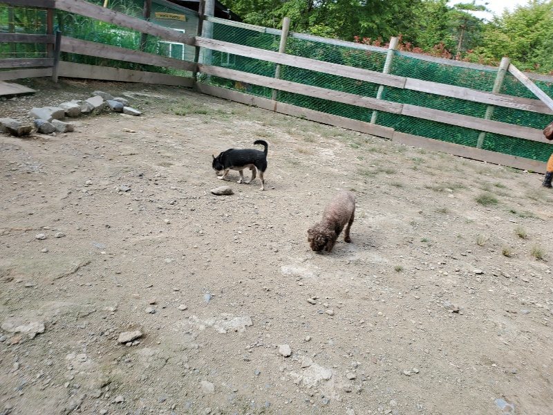f:id:roukenhome-ann:20190917064501j:plain