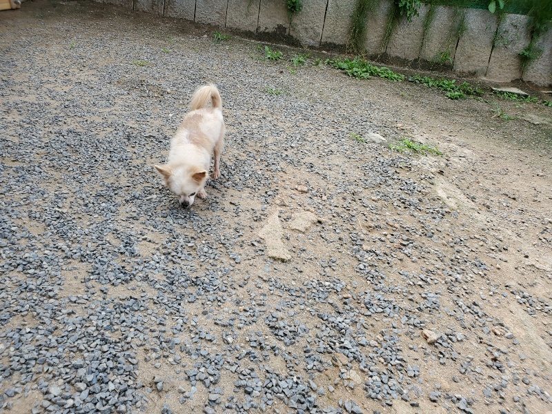 f:id:roukenhome-ann:20190917064520j:plain