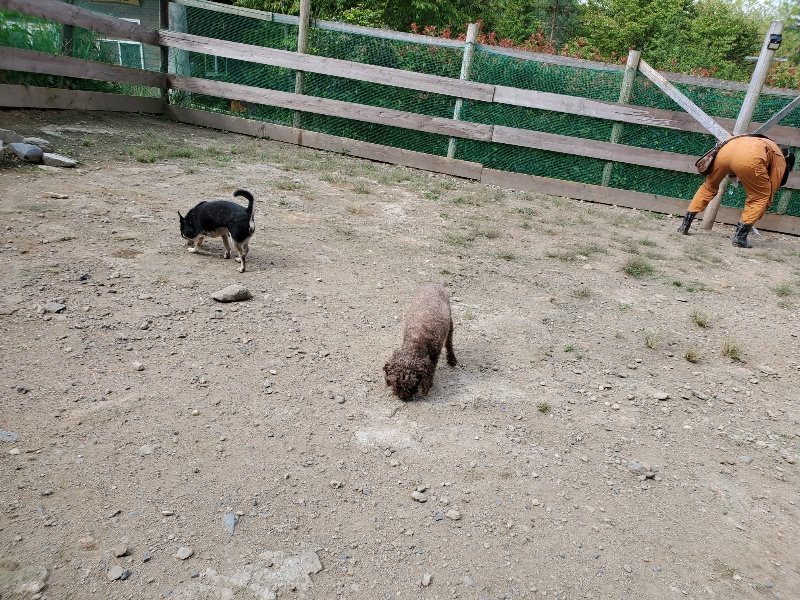 f:id:roukenhome-ann:20190917064526j:plain