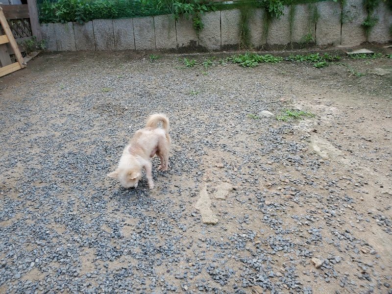 f:id:roukenhome-ann:20190917064538j:plain