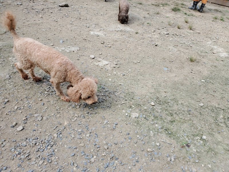 f:id:roukenhome-ann:20190917064549j:plain
