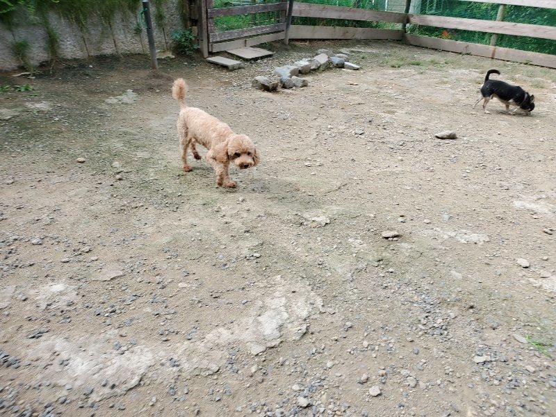 f:id:roukenhome-ann:20190917064558j:plain