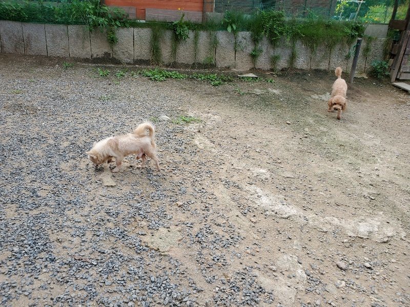 f:id:roukenhome-ann:20190917064612j:plain