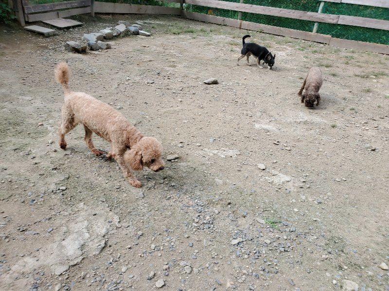 f:id:roukenhome-ann:20190917064625j:plain