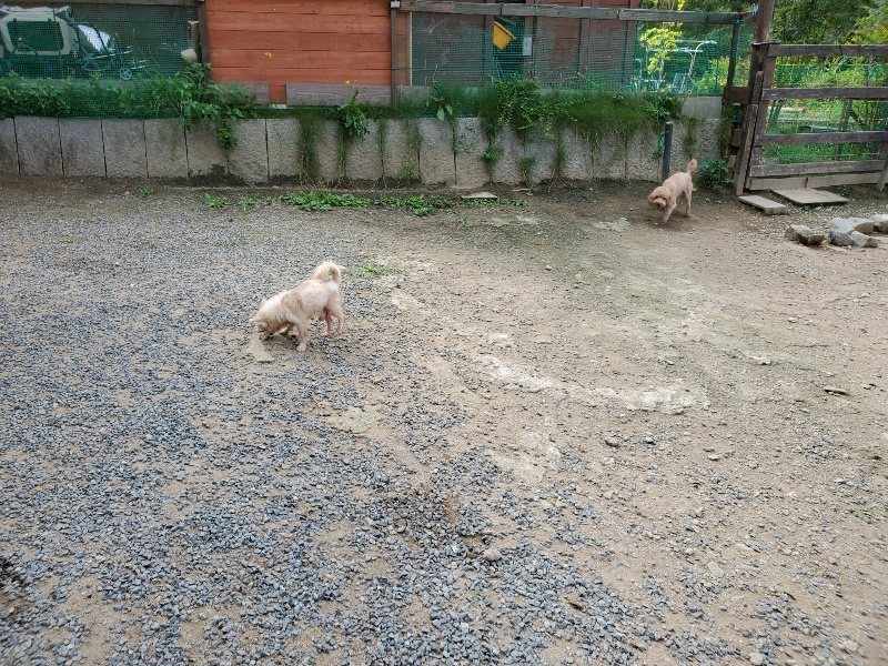 f:id:roukenhome-ann:20190917064632j:plain