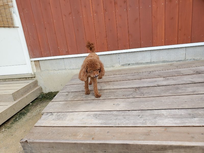 f:id:roukenhome-ann:20190917064636j:plain