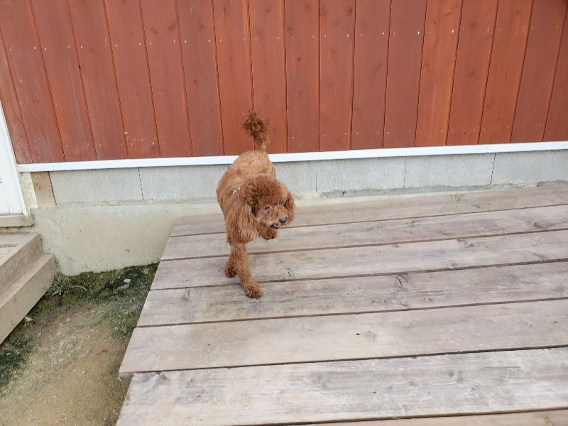 f:id:roukenhome-ann:20190917064640j:plain