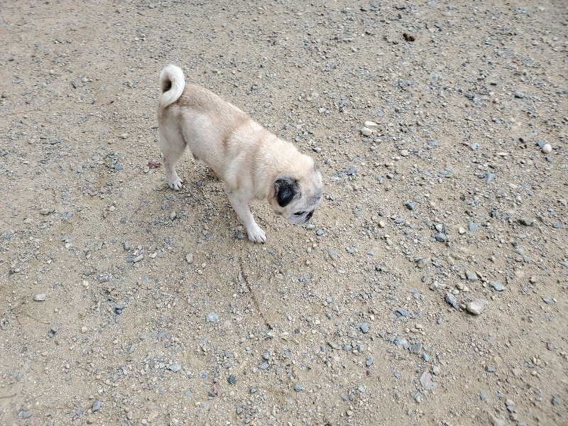 f:id:roukenhome-ann:20190917064647j:plain