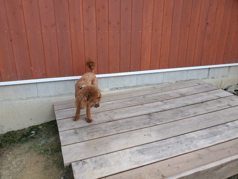 f:id:roukenhome-ann:20190917064653j:plain