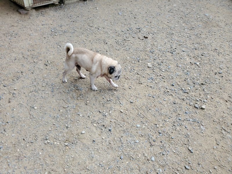 f:id:roukenhome-ann:20190917064705j:plain