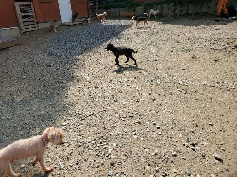 f:id:roukenhome-ann:20190917064711j:plain