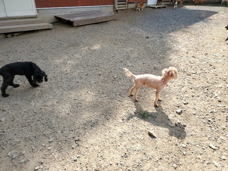 f:id:roukenhome-ann:20190917064717j:plain