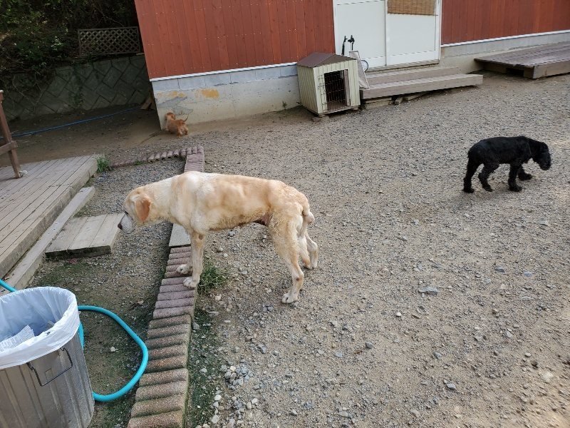 f:id:roukenhome-ann:20190917064721j:plain