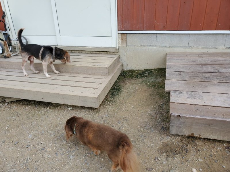 f:id:roukenhome-ann:20190917064831j:plain