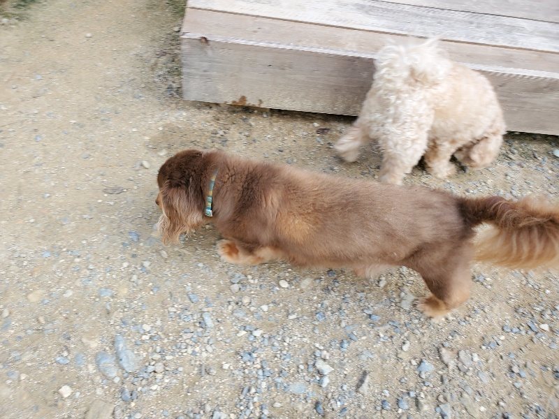 f:id:roukenhome-ann:20190917064836j:plain
