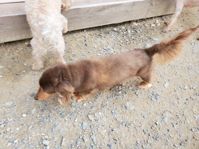 f:id:roukenhome-ann:20190917064841j:plain