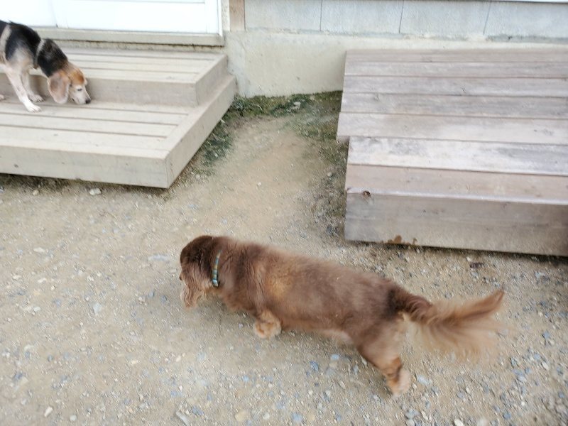 f:id:roukenhome-ann:20190917064846j:plain