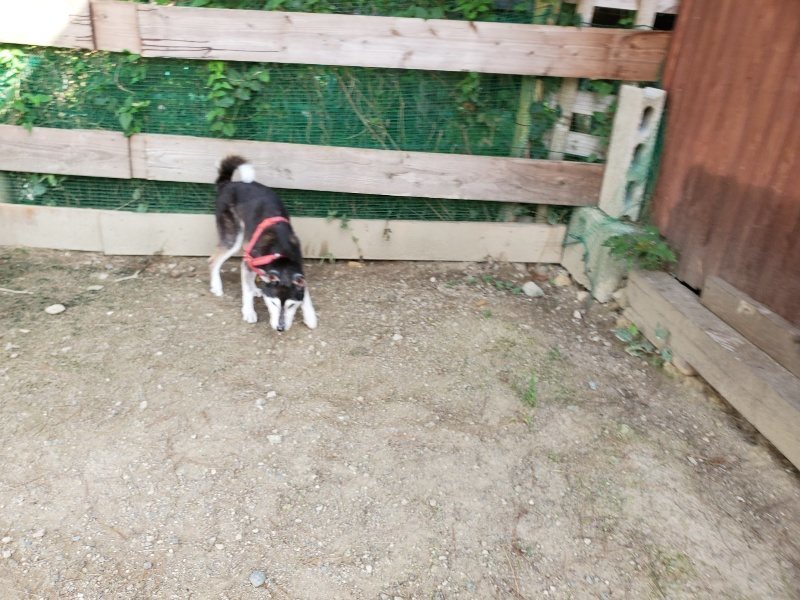 f:id:roukenhome-ann:20190917064851j:plain