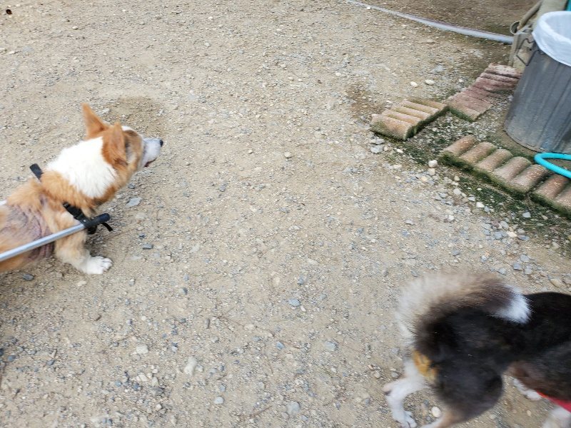 f:id:roukenhome-ann:20190917064856j:plain