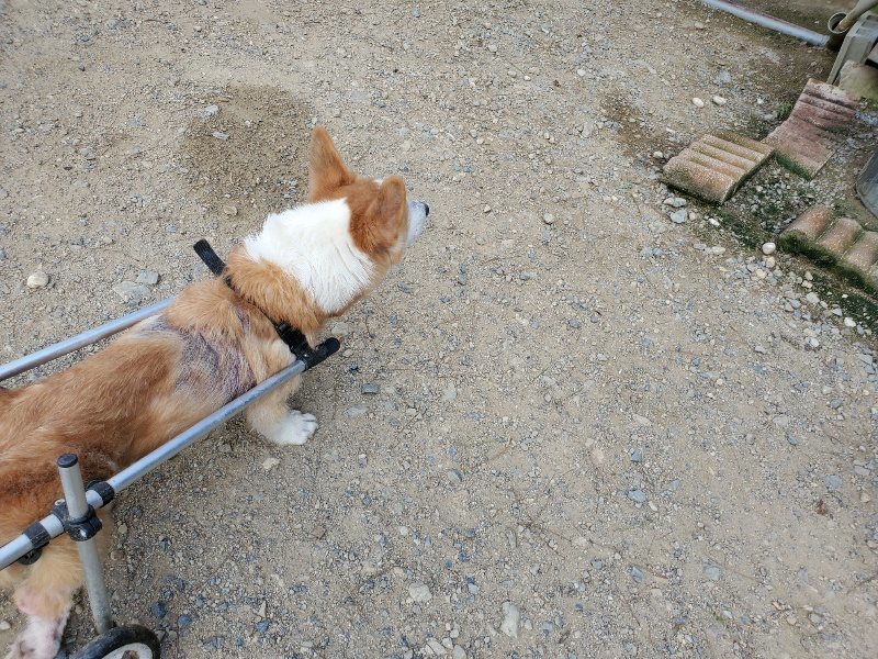 f:id:roukenhome-ann:20190917064903j:plain