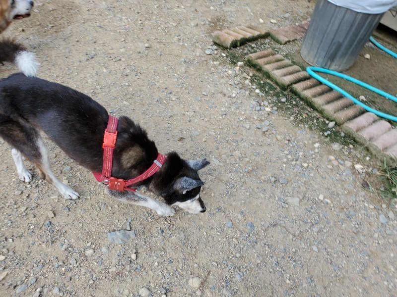f:id:roukenhome-ann:20190917064908j:plain