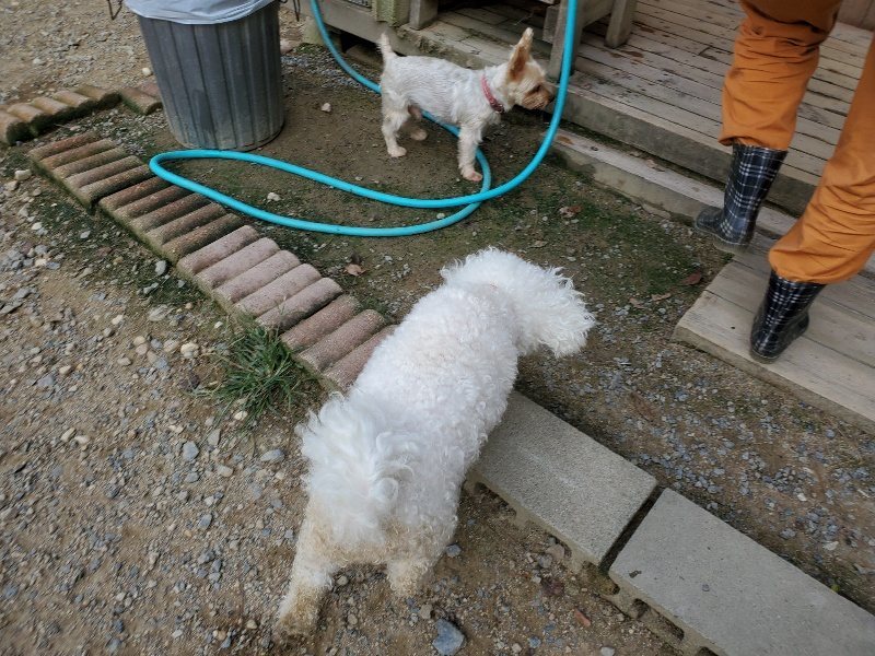 f:id:roukenhome-ann:20190917064912j:plain