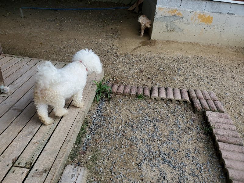 f:id:roukenhome-ann:20190917064936j:plain