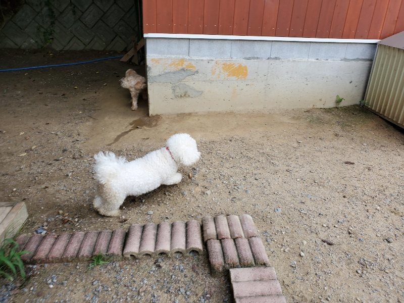 f:id:roukenhome-ann:20190917064940j:plain