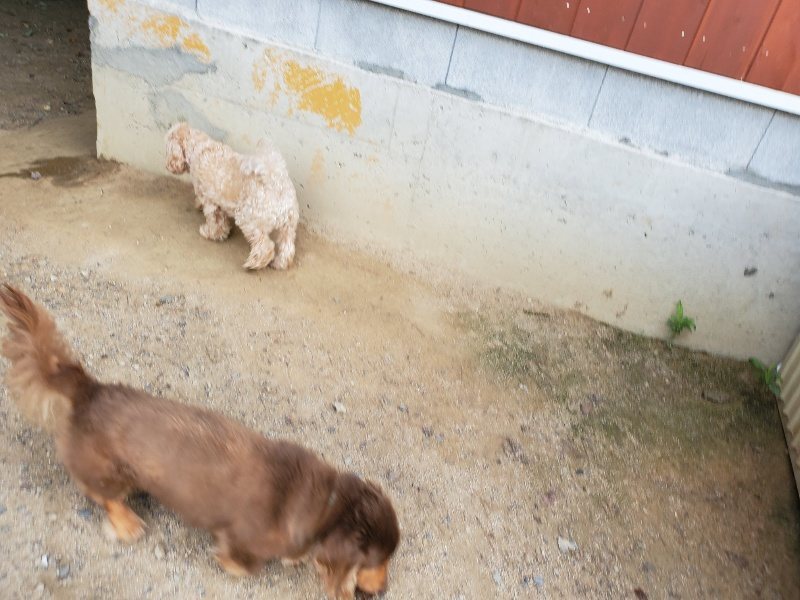f:id:roukenhome-ann:20190917065009j:plain