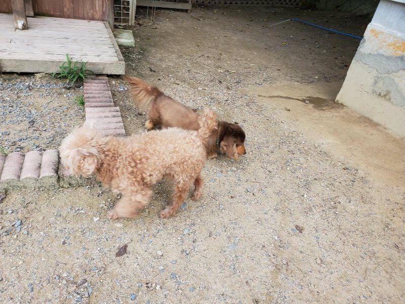 f:id:roukenhome-ann:20190917065024j:plain