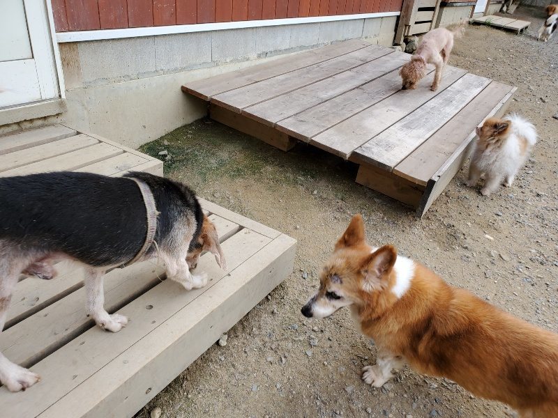 f:id:roukenhome-ann:20190917065037j:plain