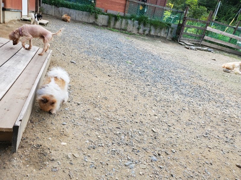 f:id:roukenhome-ann:20190917065056j:plain